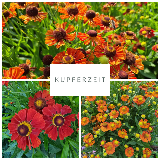 Sonnenbraut-Kollektion "Kupferzeit"